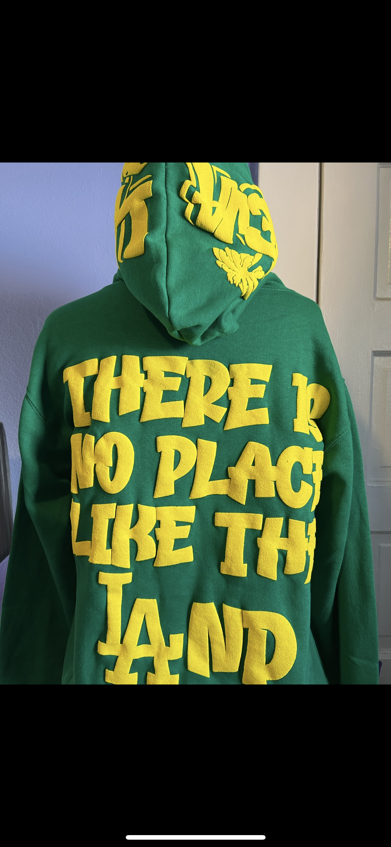 Oregon Puff Hoodie Preorder