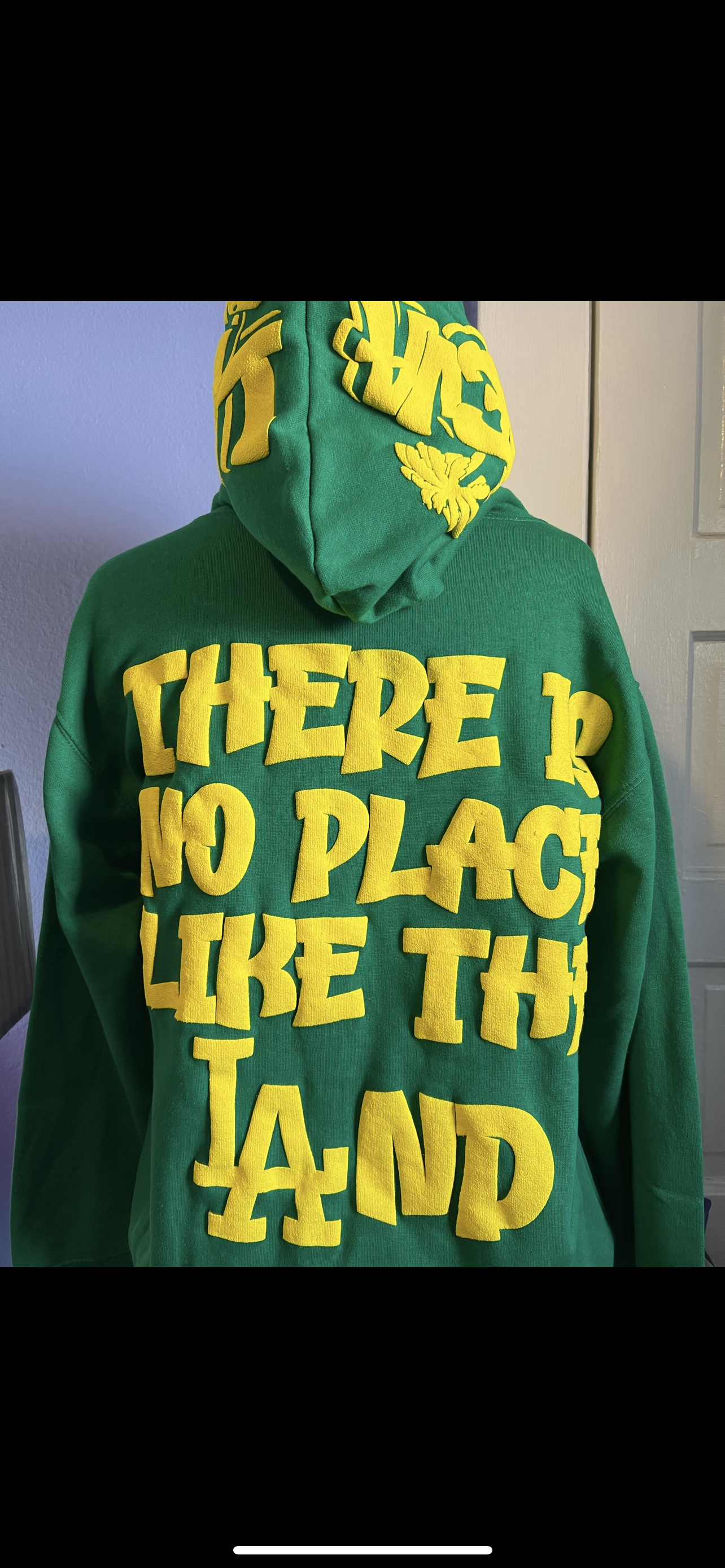 Oregon Puff Hoodie Preorder